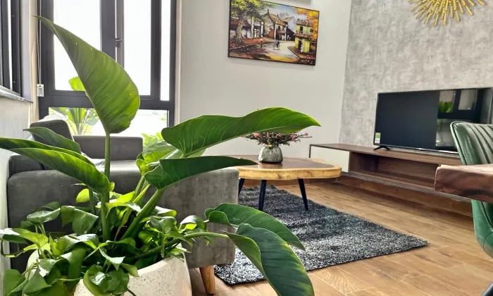 Serviced Apartment For Rent Behind Tropic Garden Thao Dien 65sqm 650 USD/month