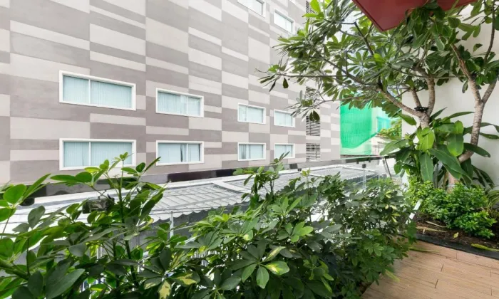 Stunning Studio Garden Building Serviced Apartment For Rent in District 3 HCMC 40sqm 600 USD/month
