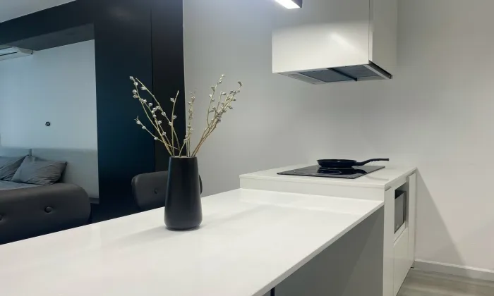 Modern Studio Serviced Apartment in Nguyen Huu Canh St Binh Thanh District HCMC 40sqm 700 USD/month
