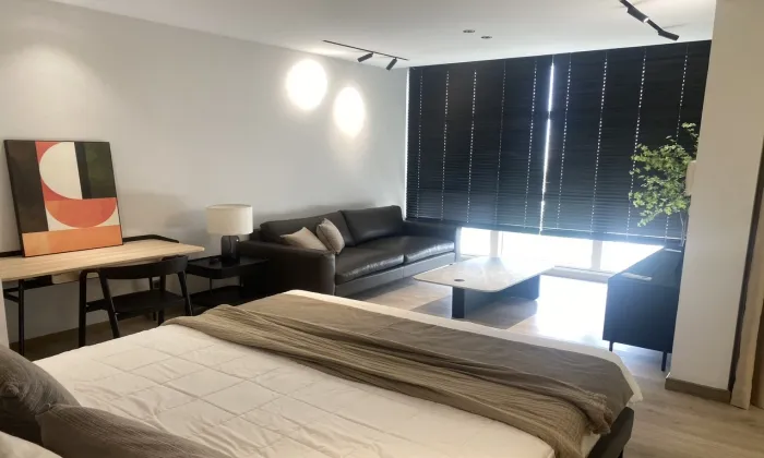 Renovation Penthouse For Rent in The Estella An Phu Thu Duc City 271sqm 4,500 USD/month