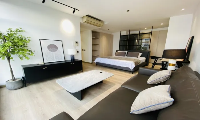 Renovation Penthouse For Rent in The Estella An Phu Thu Duc City 271sqm 4,500 USD/month
