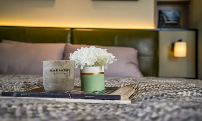 Bee Holm Residence Serviced Apartment in Thao Dien HCM 25sqm 570 USD/month
