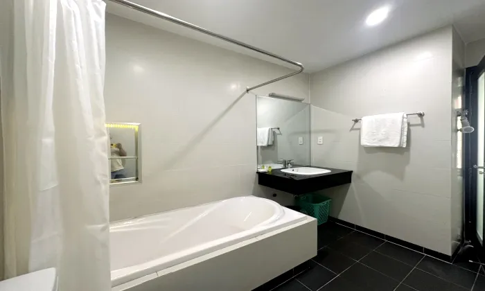 One Bedroom Spring House Serviced Apartment For Rent in HCMC 50sqm 650 USD/month