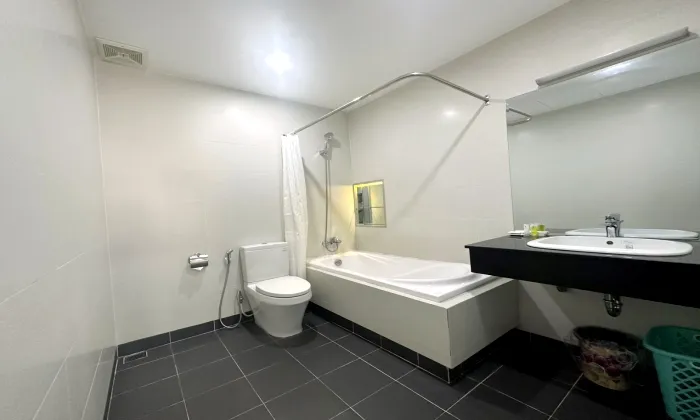 One Bedroom Spring House Serviced Apartment For Rent in HCMC 50sqm 650 USD/month