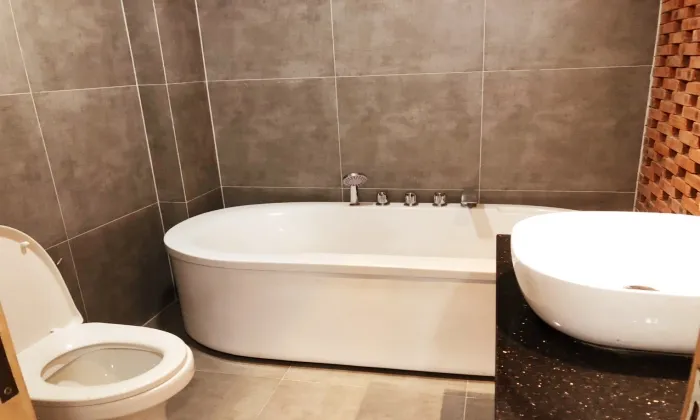 Studio Bathtup Terra Casa Serviced Apartment in Thao Dien HCM 45sqm 600 USD/month