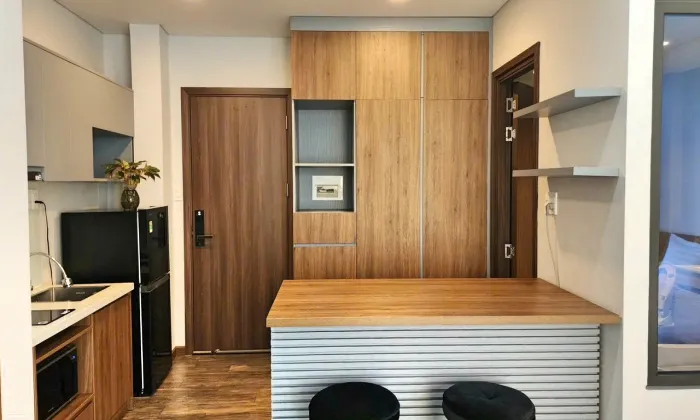 Studio Apartment Bathtub For Rent in District 3 HCMC 40sqm 570 USD/month