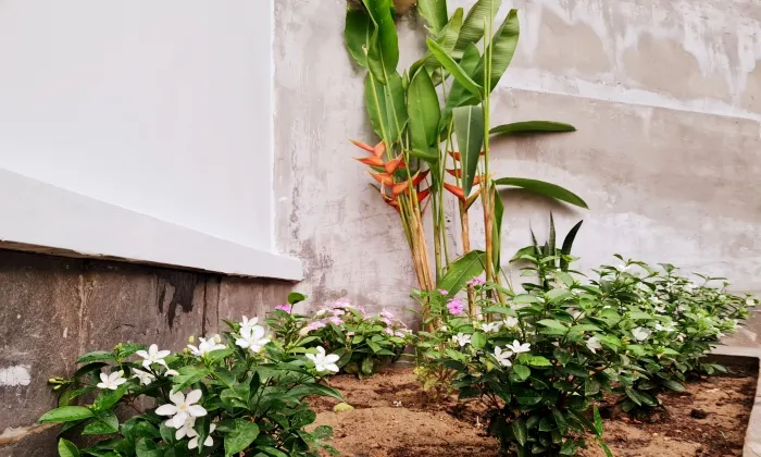 Villa for rent in Compound 3 Quoc Huong Thao Dien Dist 2 HCMC 500sqm 4,000 USD/month