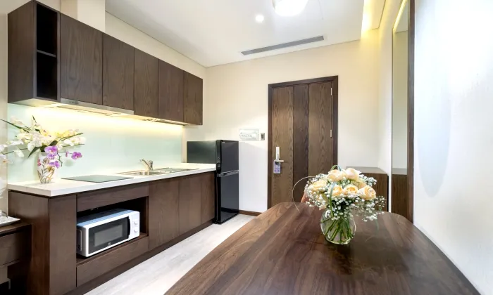 DHTS Serviced Apartment for rent in Nguyen Van Troi Phu Nhuan HCMC 45sqm 950 USD/month