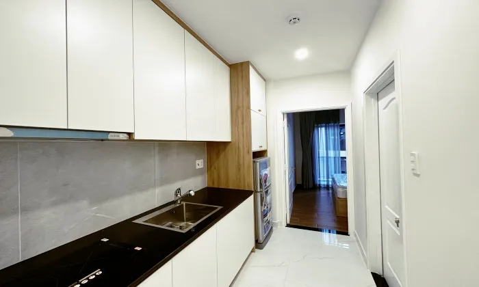 Small One Bedroom Serviced Apartment in Thao Dien HCM 32sqm 550 USD/month