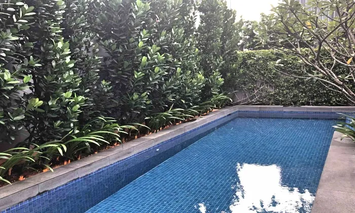 04 Bedrooms Holm Villa For Rent in Thao Dien District 2 HCMC 500sqm 11,000 USD/month