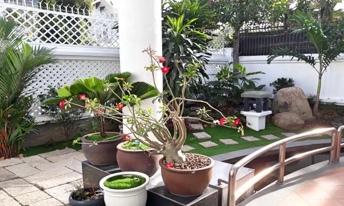 Furnished Villa for rent in Binh An Tran Nao area Thu Duc City HCMC 500sqm 2,500 USD/month