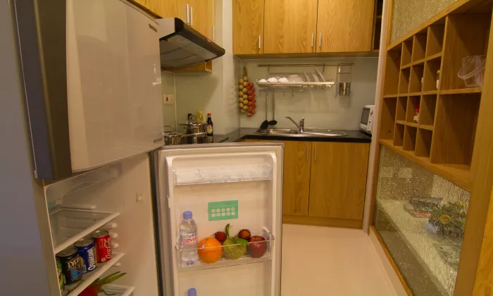 Studio Mayfair Suites Serviced Apartment For Rent in District 1 HCMC 37sqm 700 USD/month