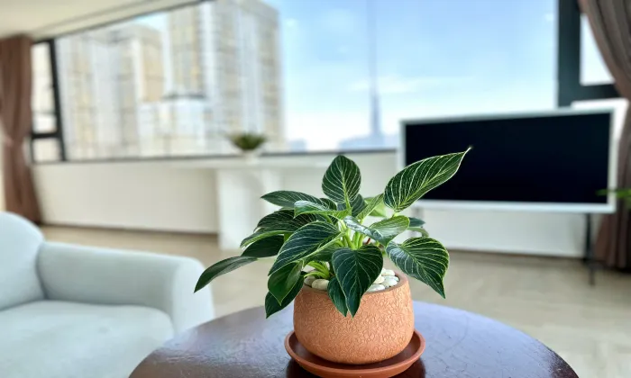 Penthouse Two Bedroom Genuss Serviced Apartment For Rent Thao Dien HCM 110sqm 1,700 USD/month