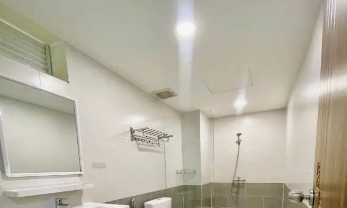 One Bedroom Sunny Serviced Apartment in Thao Dien HCMC 45sqm 600 USD/month