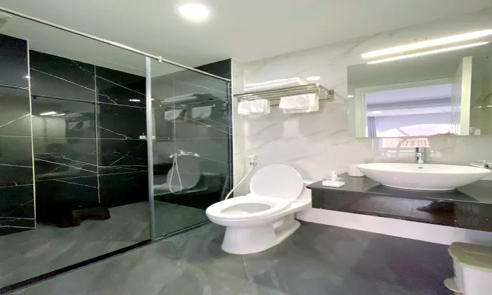 New Modern One Bedroom Apartment For Rent in Dakao District 1 HCM 50sqm 850 USD/month