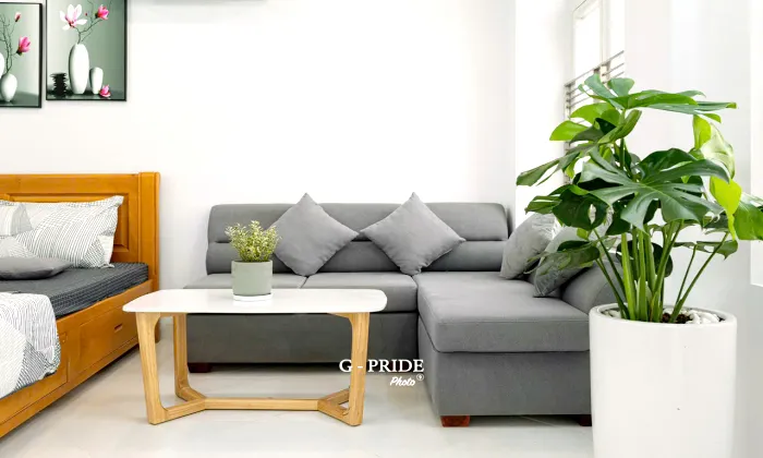 Sunlight Studio Serviced Apartment For Rent in Ly Tu Trong District 1 HCM 40sqm 550 USD/month