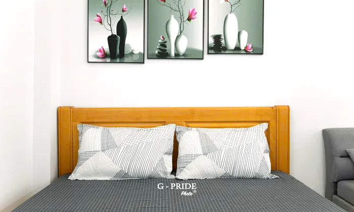 Sunlight Studio Serviced Apartment For Rent in Ly Tu Trong District 1 HCM 40sqm 550 USD/month