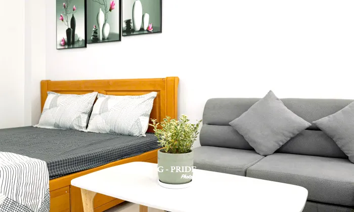 Sunlight Studio Serviced Apartment For Rent in Ly Tu Trong District 1 HCM 40sqm 550 USD/month