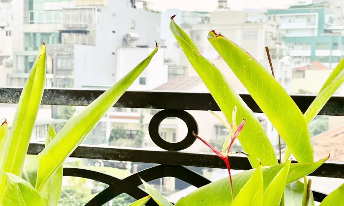 Stunning One Bedroom For Rent in Dakao District 1 Ho Chi Minh City 55sqm 750 USD/month