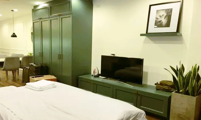 High Quality Interior Studio Justyle Apartment For Rent in Vo Van Tan St HCMC 52sqm 570 USD/month