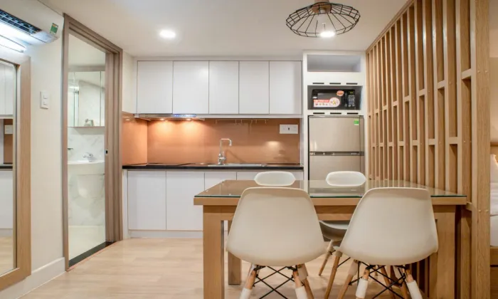 Modern Studio Equinox Serviced Apartment For Rent in Cao Thang District 3 HCM 35sqm 550 USD/month