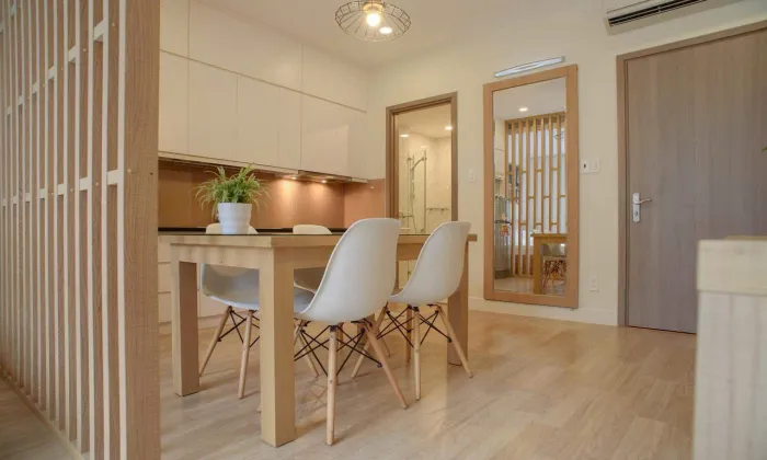 Bright Light Studio Equinox Serviced Apartment For Rent in District 3 HCM 45sqm 650 USD/month