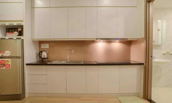 Bright Light Studio Equinox Serviced Apartment For Rent in District 3 HCM 45sqm 650 USD/month