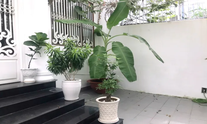 Nice Three Bedroom House For Rent in Tran Ngoc Dien Thao Dien HCMC 400sqm 2,000 USD/month