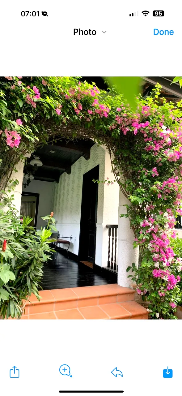 Enchanting Villa For Rent in 216 Nguyen Van Huong ST Thao Dien HCMC 750sqm 7,000 USD/month