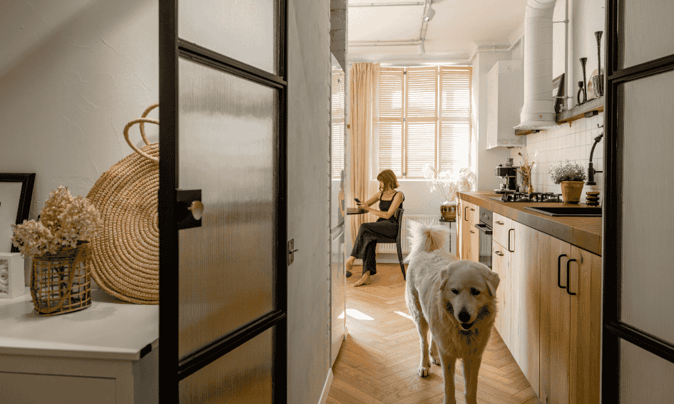 Guide Renting with Pets in Ho Chi Minh City