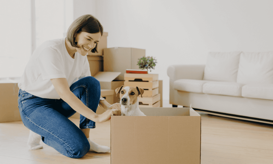 Your Guide to Renting an Apartment with Pets in Ho Chi Minh City