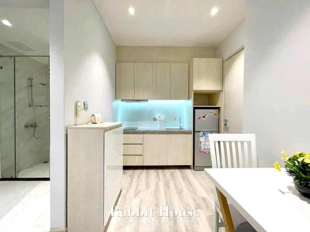 Sunny Studio Serviced Apartment For Rent in Binh Thanh District HCMC 30sqm 450 USD/month
