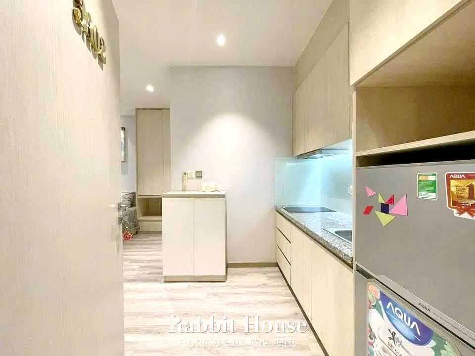 Sunny Studio Serviced Apartment For Rent in Binh Thanh District HCMC 30sqm 450 USD/month