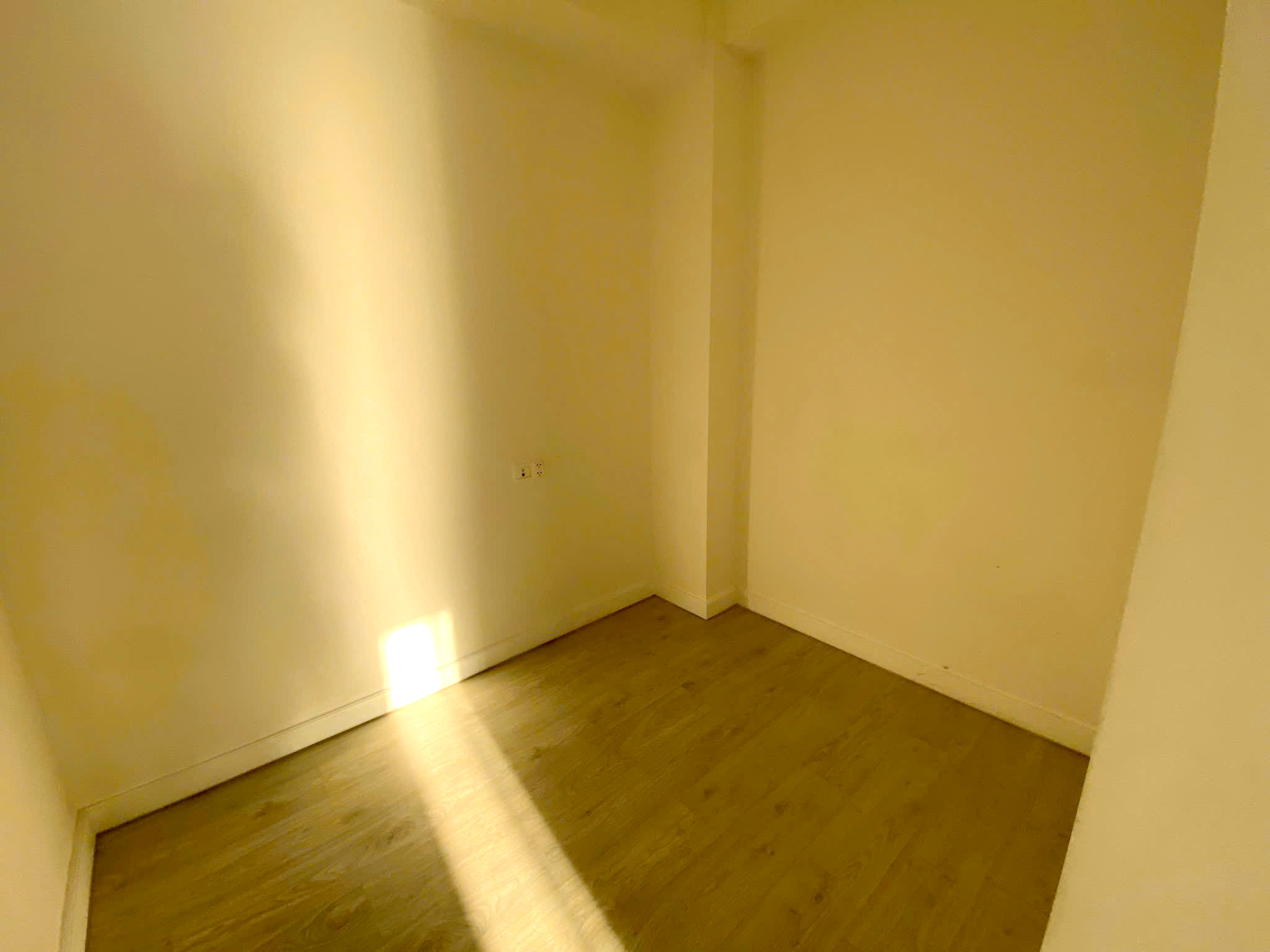 Four Bedroom Madison Gateway Thao Dien For Rent HCMC