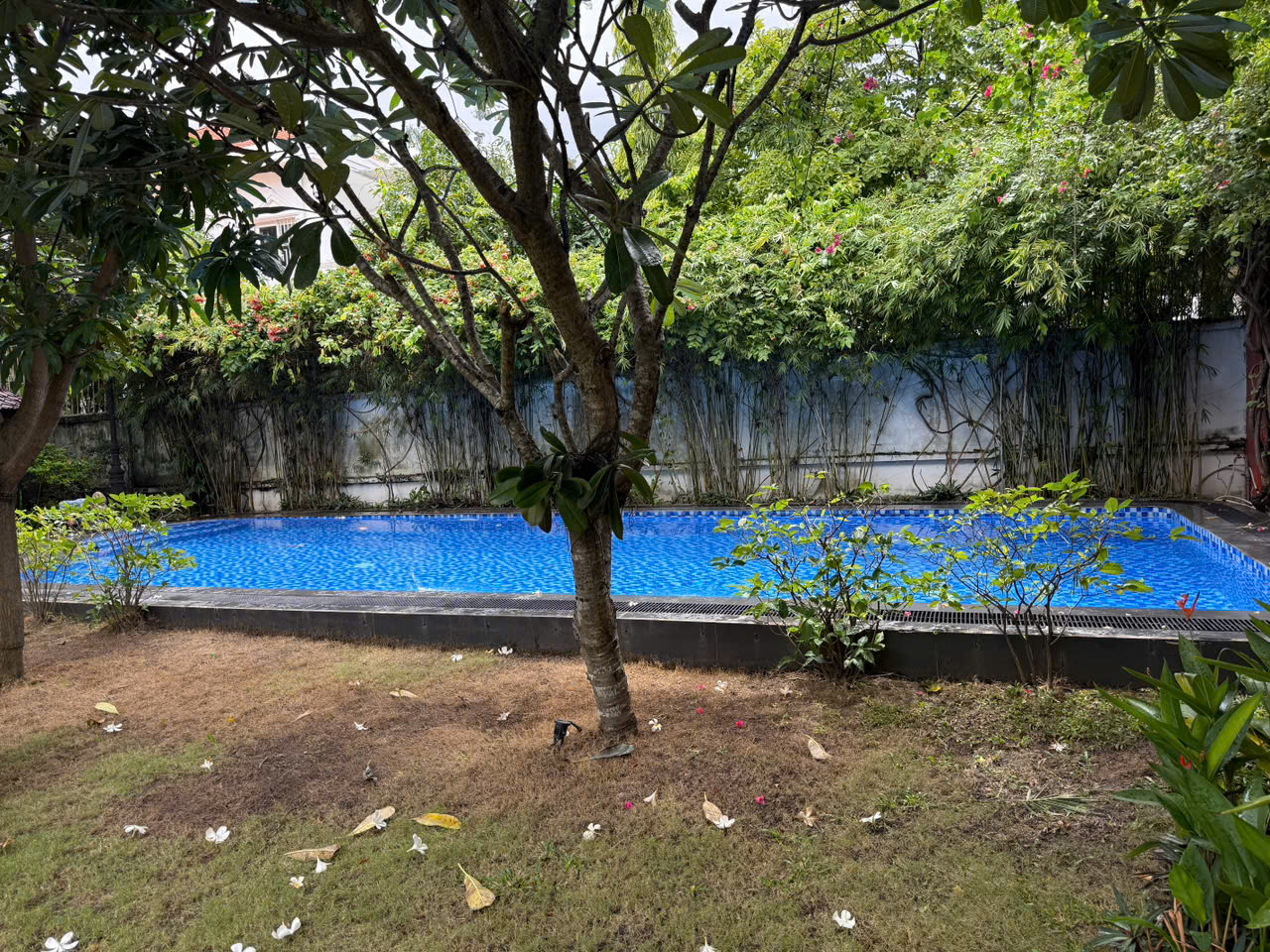 5-Bedroom Villa for Rent in Thao Dien, District 2 HCMC, $6800/month 800sqm 6,800 USD/month