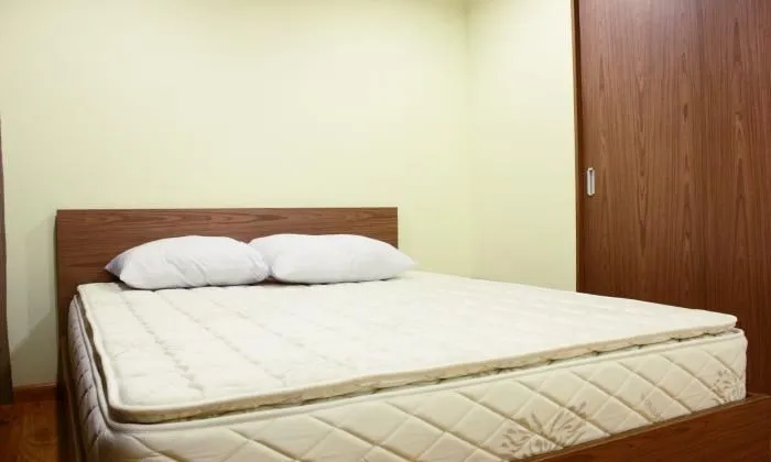 Serviced Apartment  in District 1 Ho Chi Minh City(Saigon) 51sqm 600 USD/month