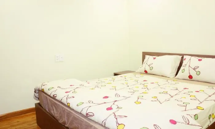 Serviced Apartment  in District 1 Ho Chi Minh City(Saigon) 51sqm 600 USD/month