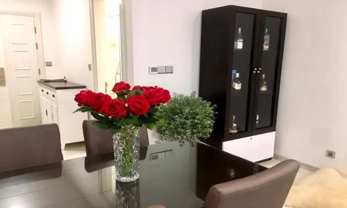 Good Rent Vinhomes Golden River Apartment for rent HCMC 50sqm 900 USD/month
