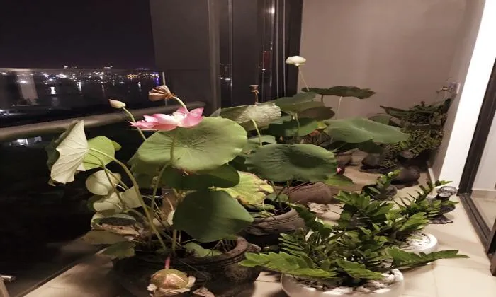 Really Nice Vinhomes Golden River Apartment for rent HCMC 120sqm 2,900 USD/month