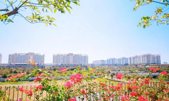 Modern Apartment For lease in Sadora Thu Thiem Disrtrict 2 Ho Chi Minh City 85sqm 900 USD/month