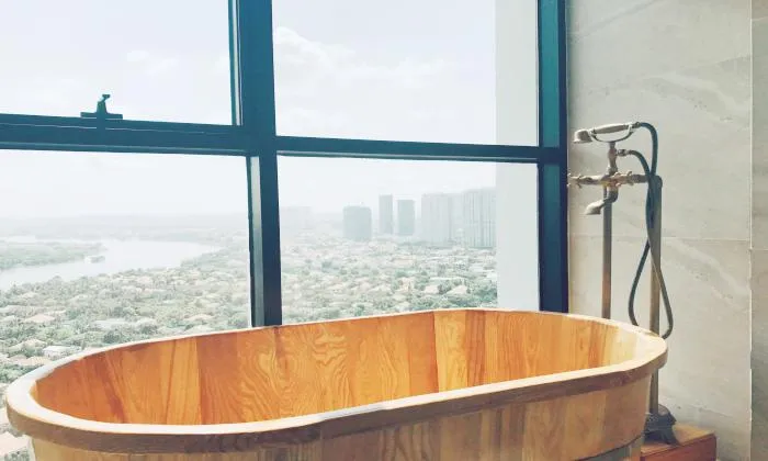 Amazing View Of Penthouse In The Ascent Thao Dien District 2 Ho Chi MInh City 210sqm 3,500 USD/month