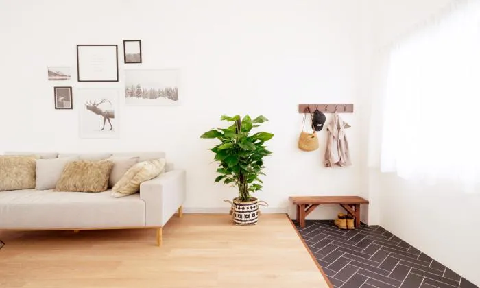 Stunning Renovated One Bedroom Apartment District 3 HCMC 70sqm 950 USD/month