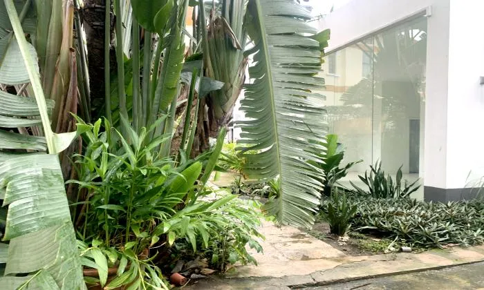 Tropical Garden House For Rent in Road 59 Thao Dien Thu Duc City 250sqm 1,400 USD/month