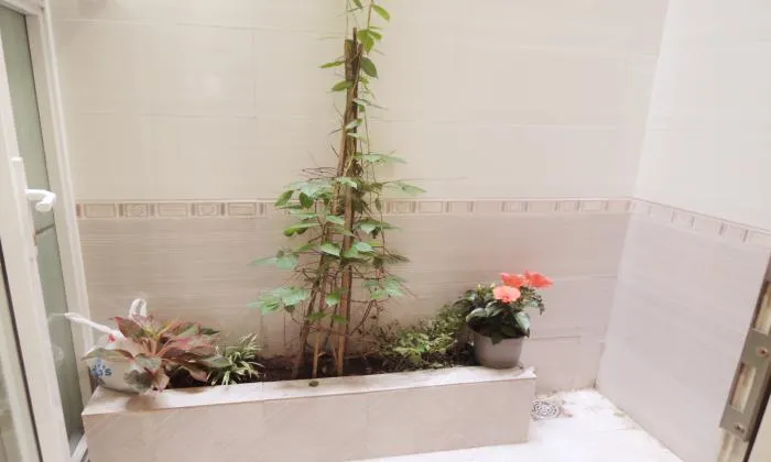 Fresh Living Studio Apartment in Nguyen Thi Minh Khai District 1 HCM City 35sqm 350 USD/month
