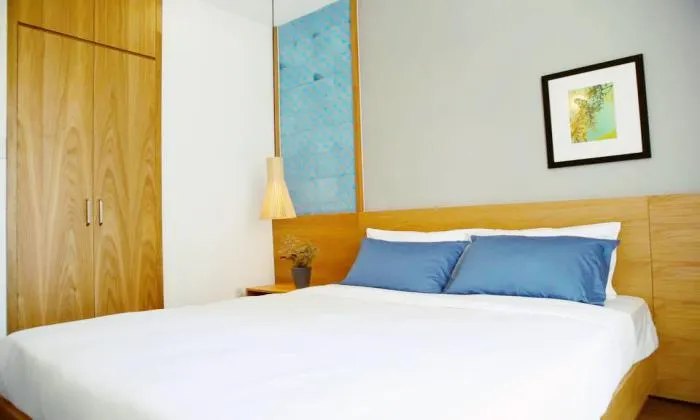 Cool Style One Bedroom Serviced Apartment in Nguyen Trai  St District 1 HCM City 45sqm 550 USD/month
