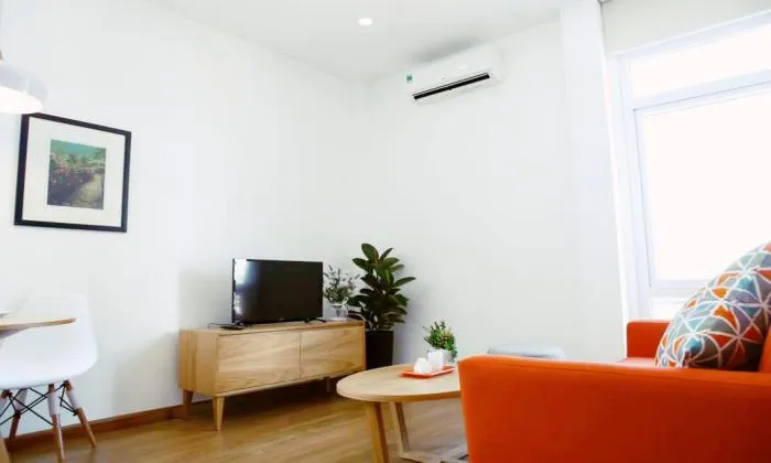 Cool Style One Bedroom Serviced Apartment in Nguyen Trai  St District 1 HCM City 45sqm 550 USD/month