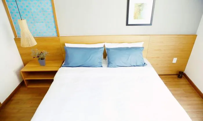 Cool Style One Bedroom Serviced Apartment in Nguyen Trai  St District 1 HCM City 45sqm 550 USD/month