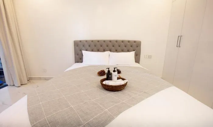 A Charming Apartment For Rent in Dakao District 1 HCMC 66sqm 950 USD/month