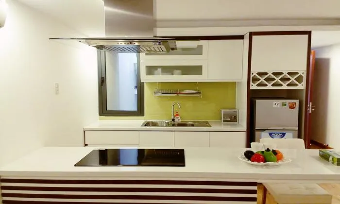 High Quality Studio Serviced Apartment in District 1 HCM City 60sqm 800 USD/month