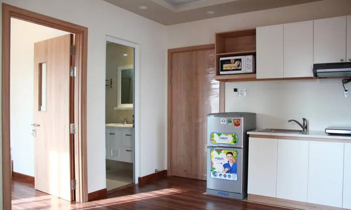 New One-Bedroom Serviced Apartment Rentals in District 1, HCMC 50sqm 800 USD/month
